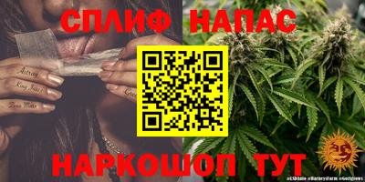ECSTASY Нальчик