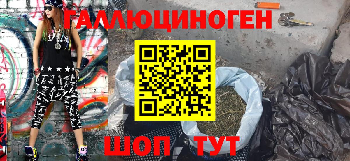 Чистополь  Псилоцибиновые грибы Psilocybe  Вход с VPN 