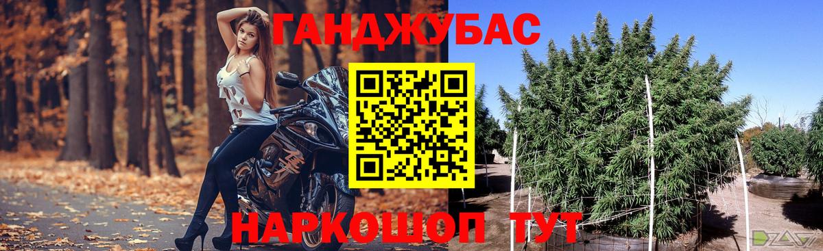 Бошки марихуана конопля  Вход с VPN  Марихуана THC 21%  Чистополь 